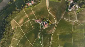 WEBINAR ONLINE: REGISTRUL AGRICOL ELECTRONIC