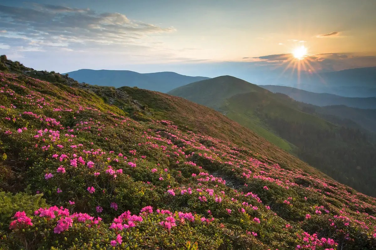 Parcul Natural Bucegi