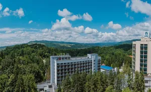 Hotel Ursina